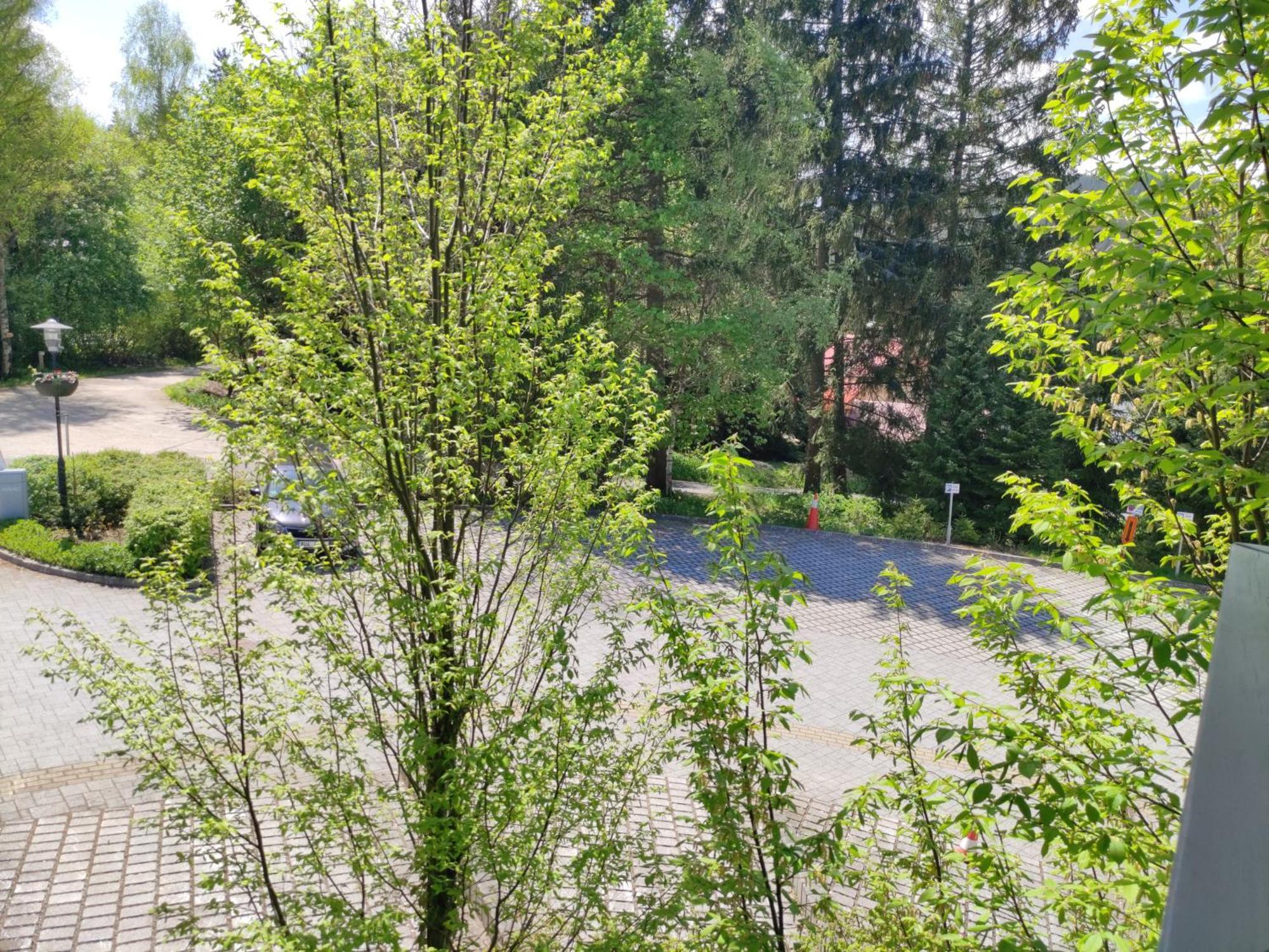 Tiche Anenske Apartmany S Hotelovym Servisem, S Kvalitni Bufetovou Snidani A S Exklusivnim Saunovym Wellness Grotta Spa - By Relax Harrachov Zewnętrze zdjęcie