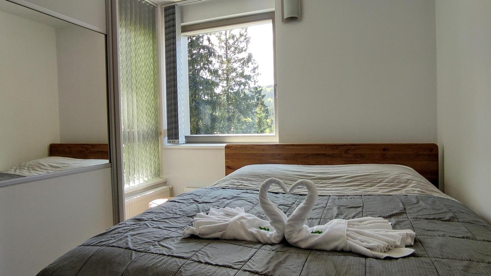 Tiche Anenske Apartmany S Hotelovym Servisem, S Kvalitni Bufetovou Snidani A S Exklusivnim Saunovym Wellness Grotta Spa - By Relax Harrachov Zewnętrze zdjęcie
